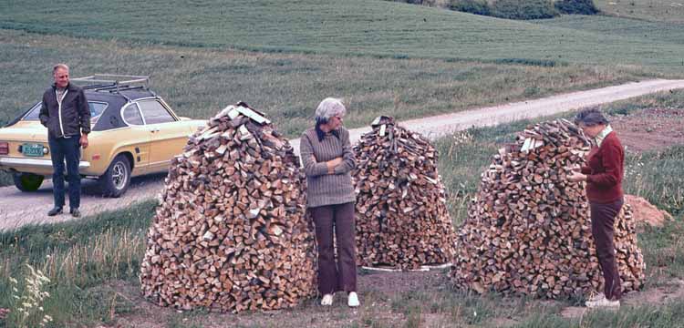 wood piles